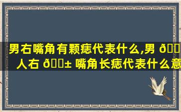 男右嘴角有颗痣代表什么,男 🐟 人右 🐱 嘴角长痣代表什么意思